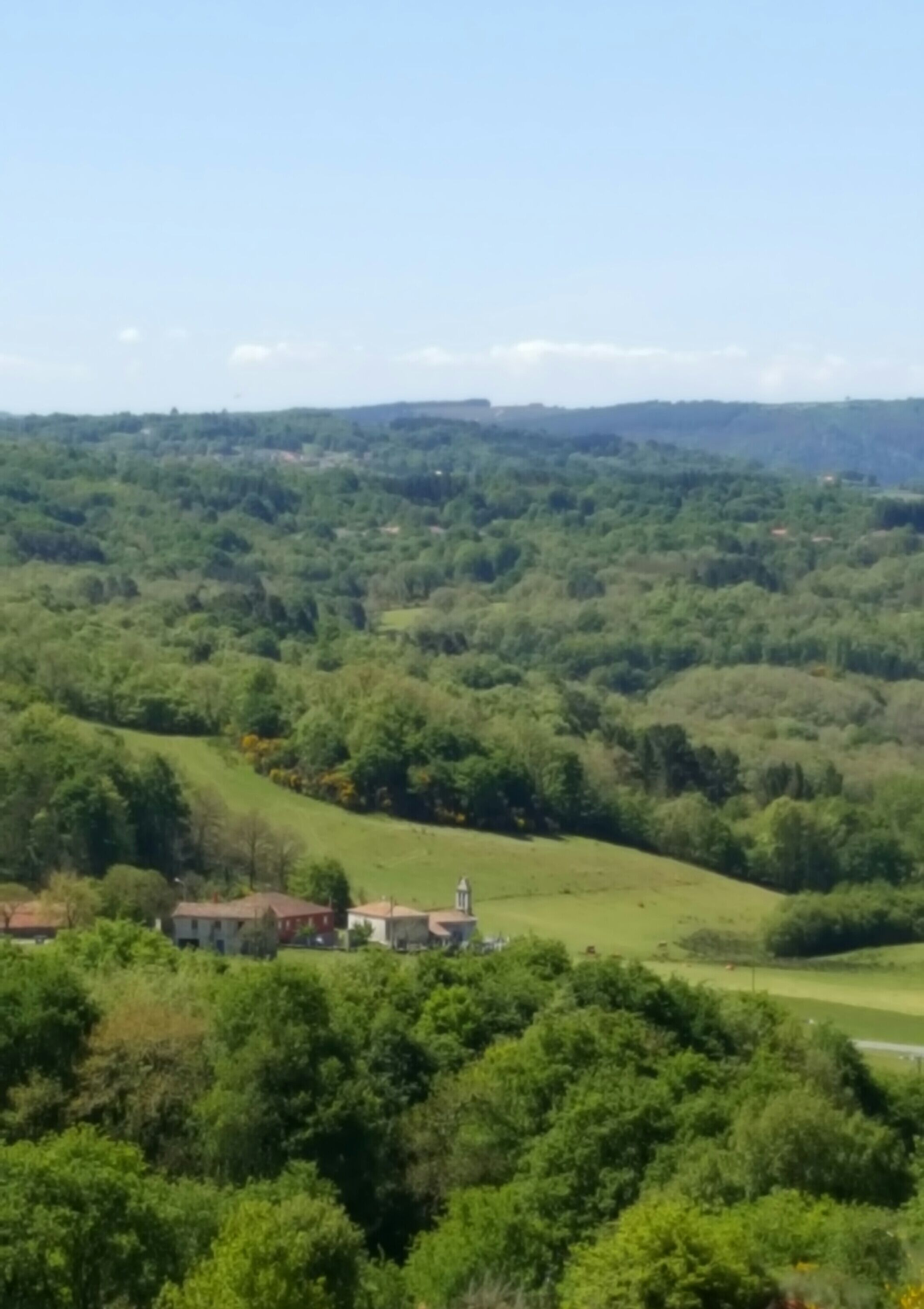 Vistas de Vilelos (O Saviñao)