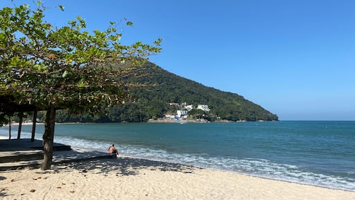 Man resting in Martim de Sá beach during Coronavirus pandemic. Caraguatatuba city, North coast of Sao Paulo state, Brazil.