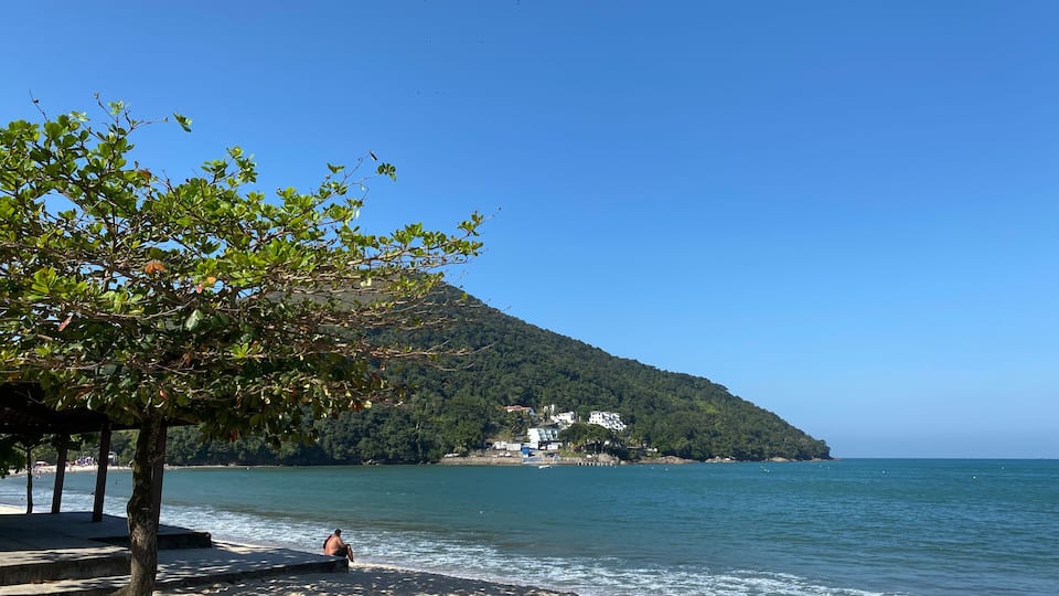 A beach with a person sitting on the sand, a tree, and a hill with buildings in the background.