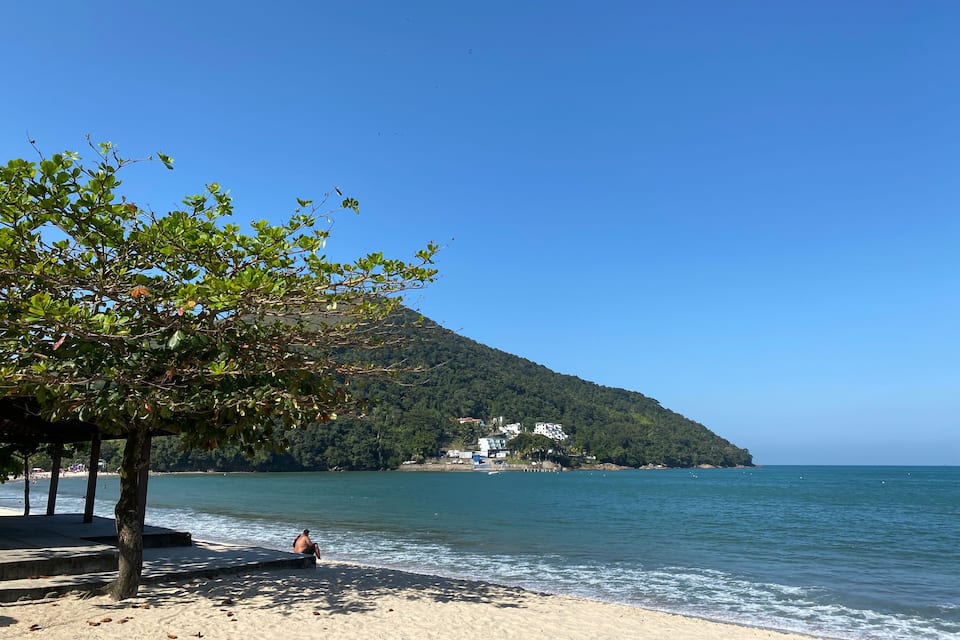A beach with a person sitting on the sand, a tree, and a hill with buildings in the background.
