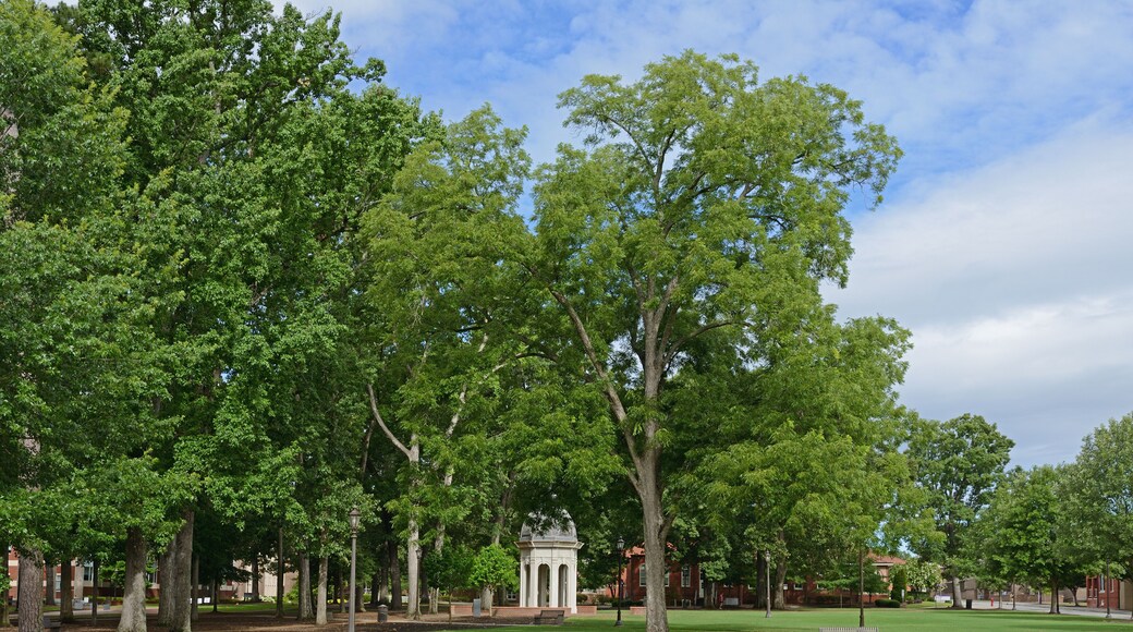 Park and Cupola (gazebo) on west end of campus of East Carolina University (ECU), public research university in Greenville, North Carolina