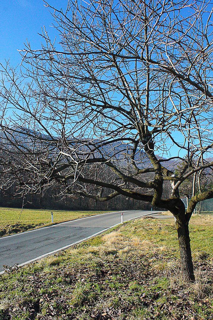 Mattodera, la strada tra i campi