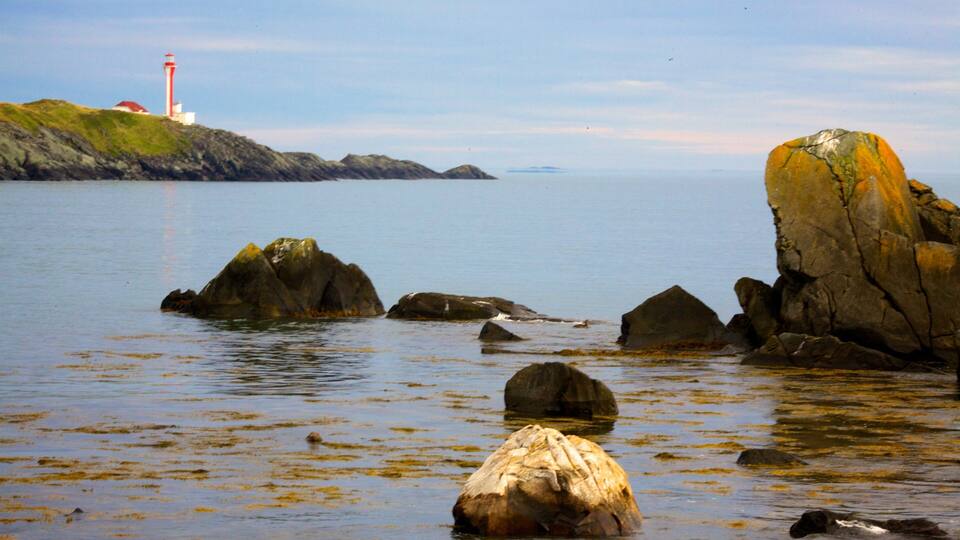 A coastal scene with a lighthouse, rocky outcrops, and calm waters.