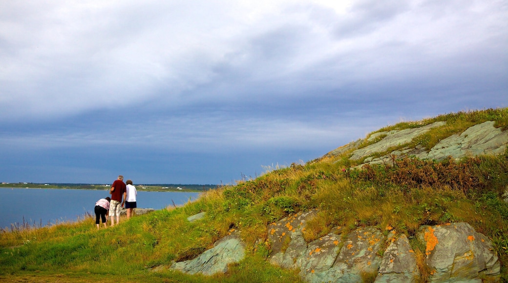 Cape Forchu fyrtårn som viser kyst