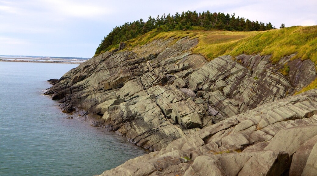 Cape Forchu Lightstation showing rocky coastline