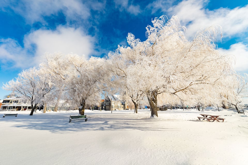 A snow-covered park with trees and benches.