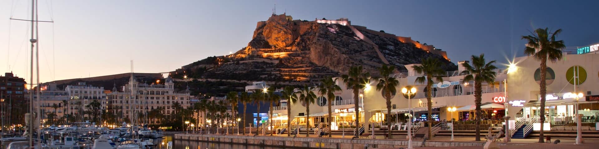 A marina with boats, a prominent hill with buildings, and palm trees along the waterfront.