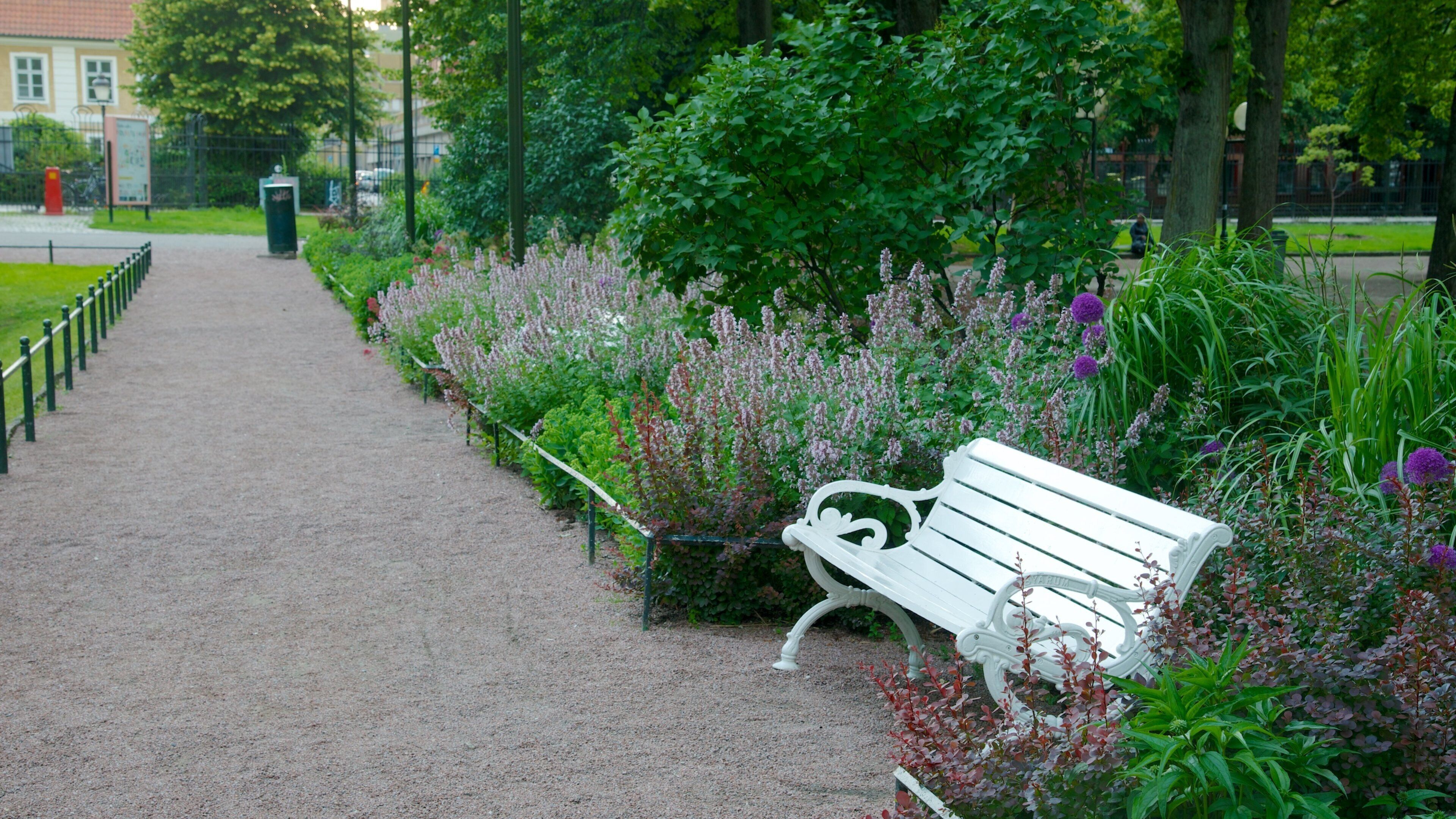 Mollevangen showing wildflowers and a park