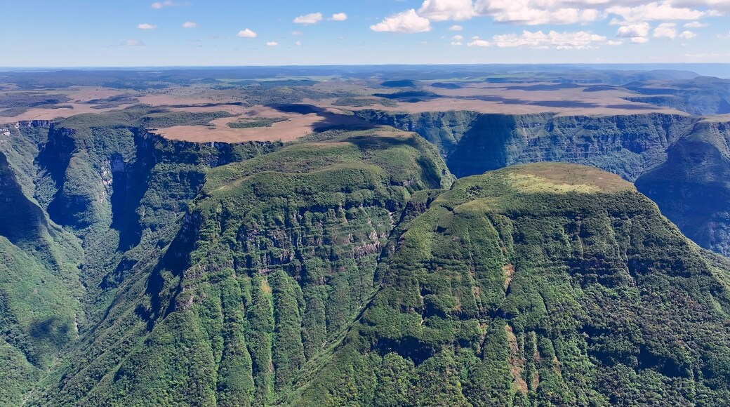 Southern Canyons In Praia Grande Santa Catarina Brazil. Cliffside Surrounded By Lush Green Forest Viewed From Above. Nature Dramatic Clouds Sky Forest. Nature Landscapes Rural Panoramic.