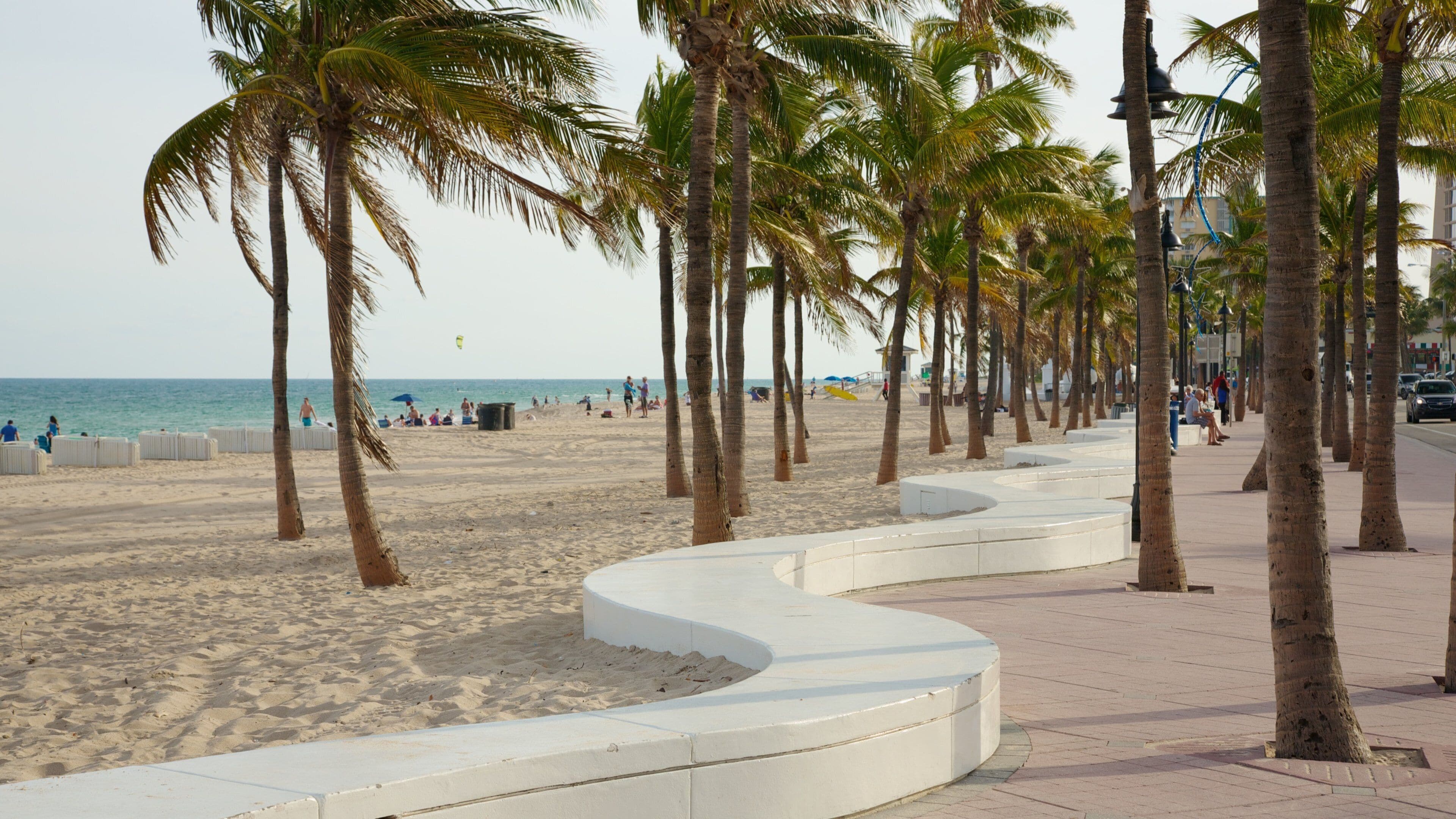 A beach with palm trees and a curved white bench along the walkway.