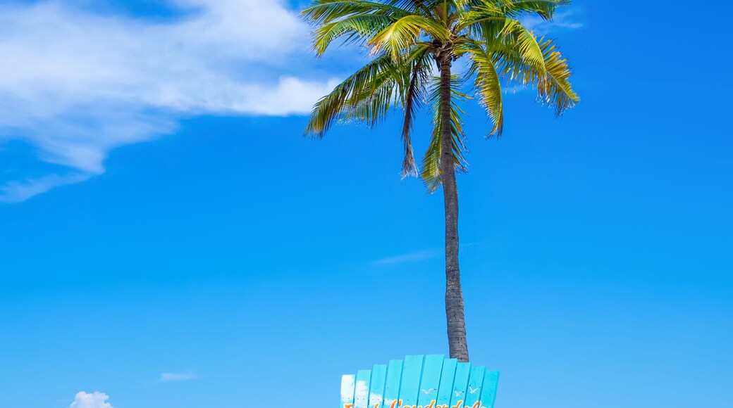 The beach at Fort Lauderdale in Florida
