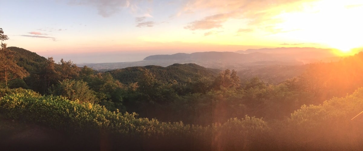 A mountainous landscape with dense vegetation during sunset.