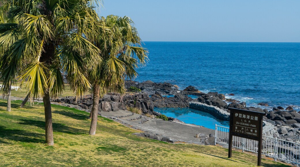 Izu Oceanic Park featuring general coastal views