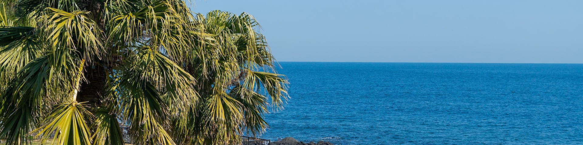 Izu Oceanic Park featuring general coastal views