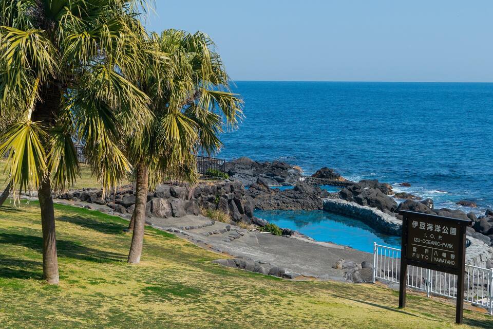 A coastal park with a rocky shoreline, palm trees, and a sign in Japanese.