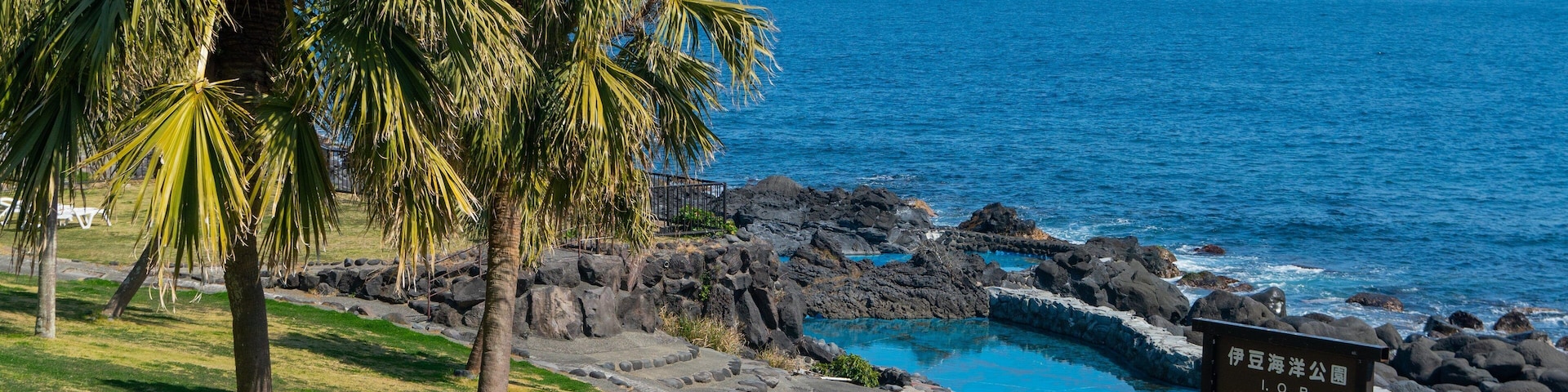 Izu Oceanic Park featuring general coastal views