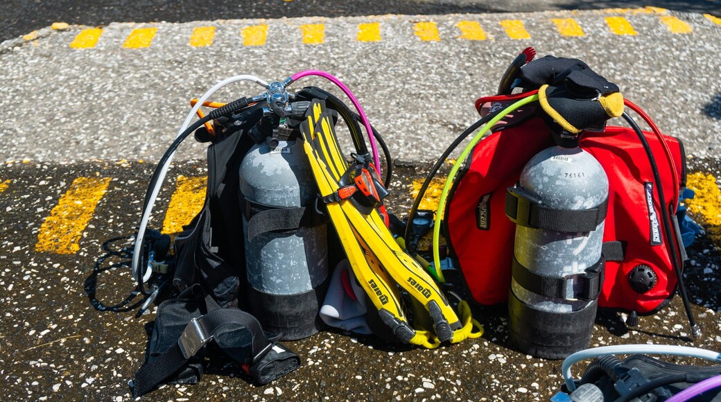 Izu Oceanic Park which includes scuba diving