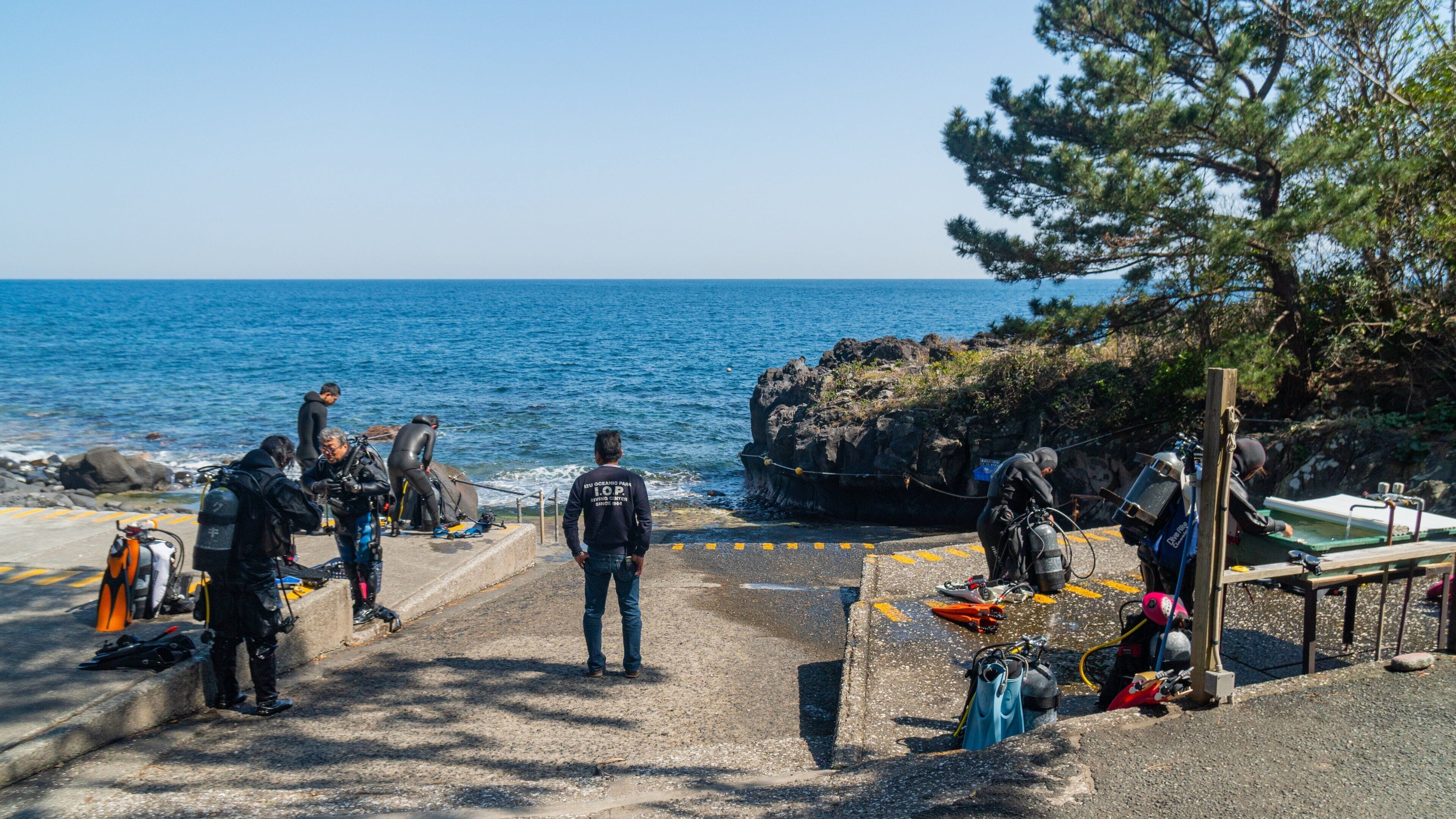 Izu Oceanic Park which includes general coastal views and diving as well as a small group of people