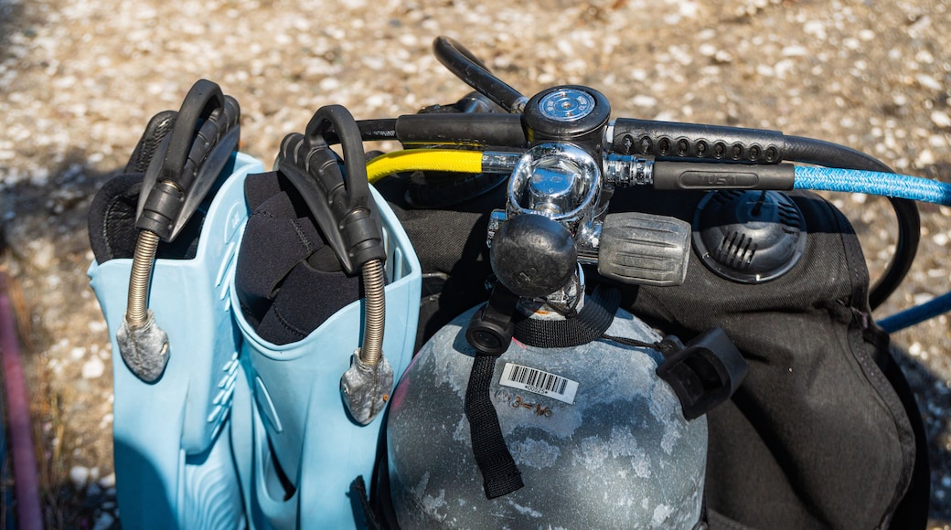 Izu Oceanic Park which includes diving