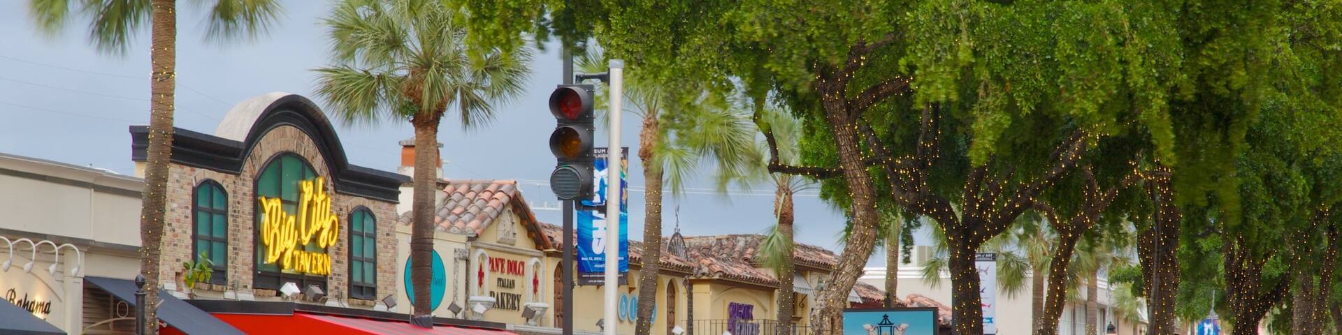 A street lined with palm trees, a Big City Tavern, and a bakery.