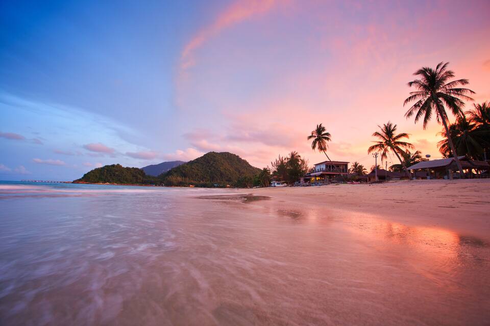 A beach with palm trees, a mountain, and a pier in the background.