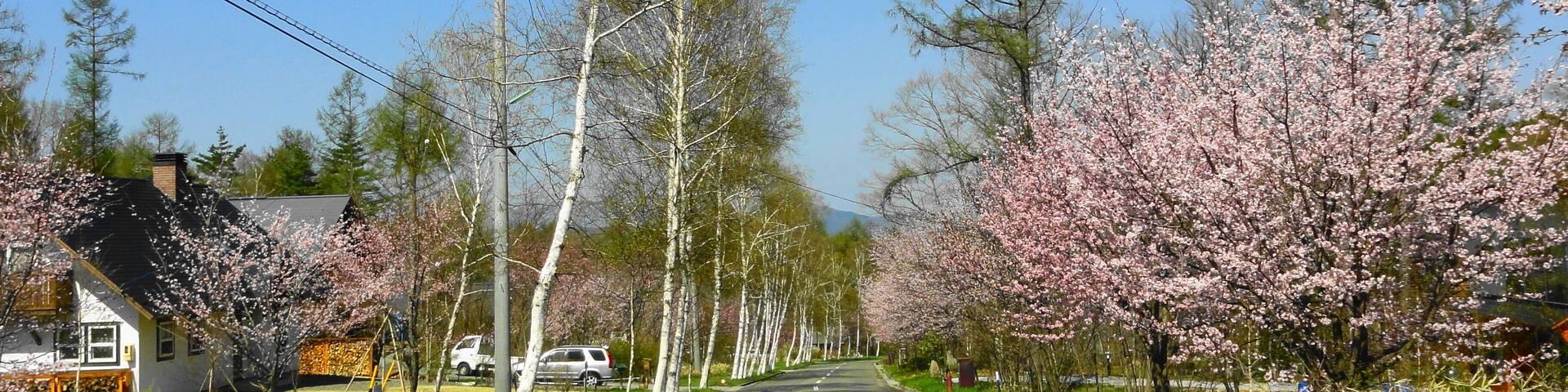 ć
«ă¶ćČłăćæăçœæšșăšæĄ