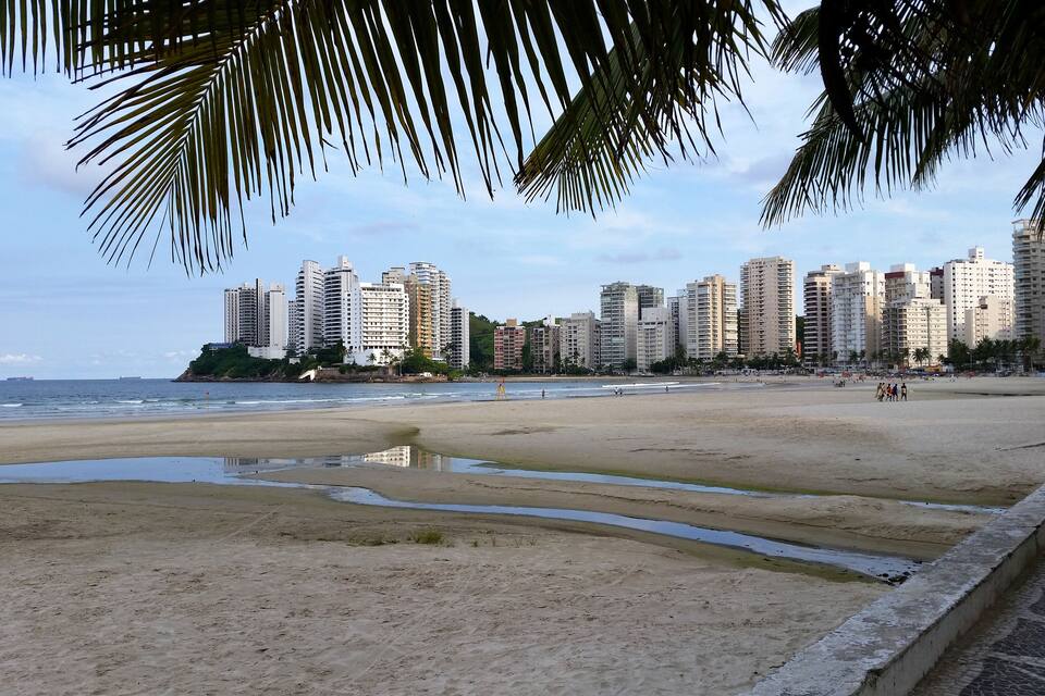 Una playa con palmeras, una orilla arenosa y un horizonte urbano con edificios altos.