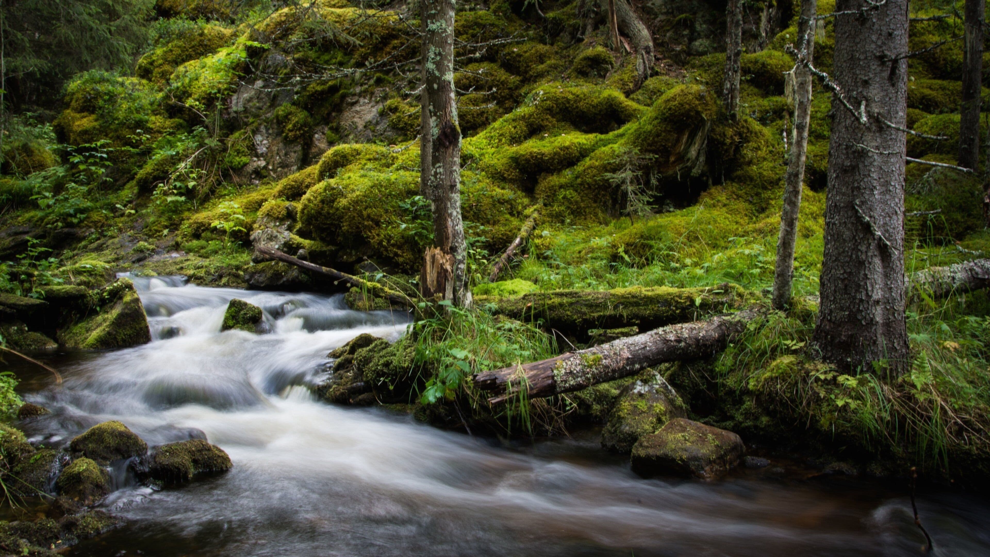Vemdalen que incluye un río o arroyo