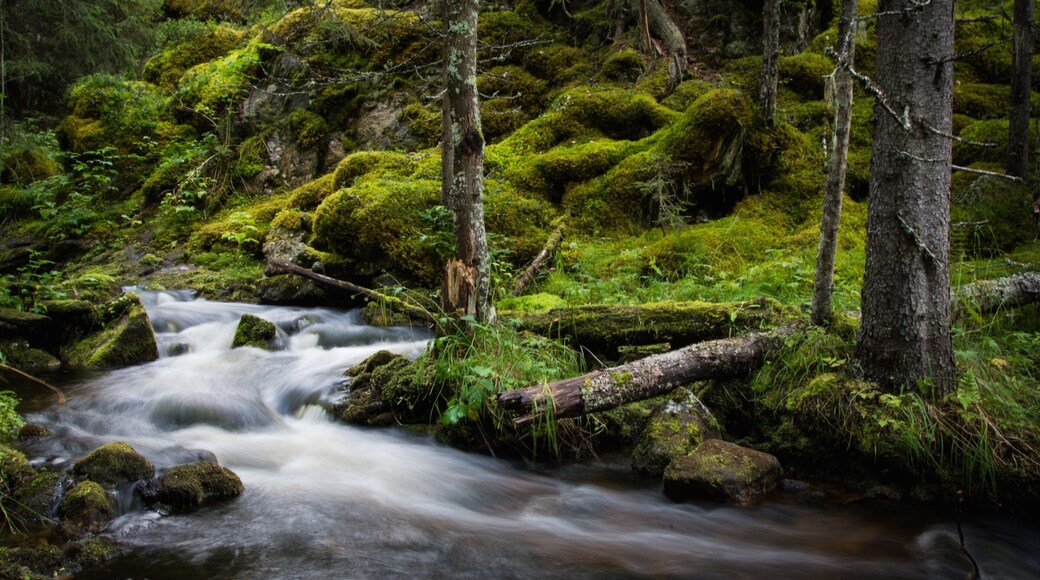 Vemdalen que incluye un río o arroyo