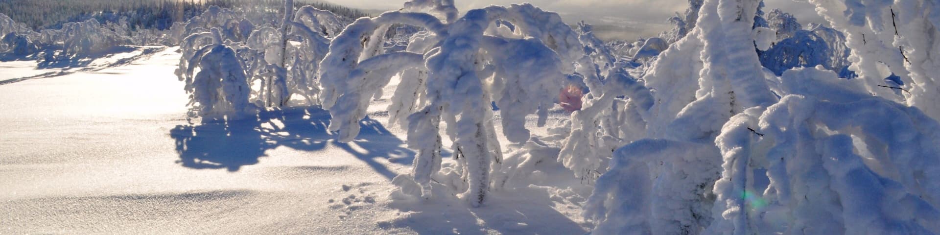 Vemdalen caracterizando neve