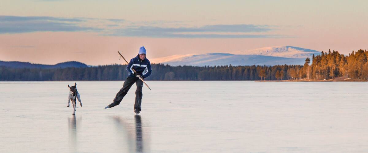 A person ice skating on a frozen lake with a dog, surrounded by trees and mountains in the background.