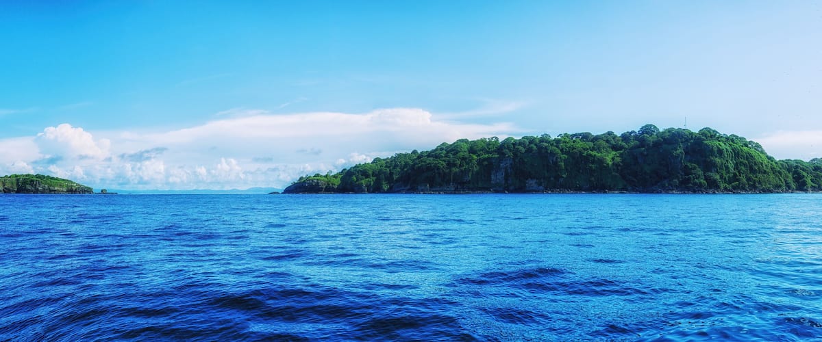 A large body of water with a small island covered in dense green foliage.