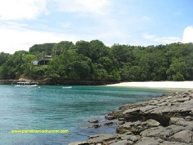Executive Beach at Contadora has some of the best snorkeling we have found in Panama.  Contadora is one of the larger Pearl Islands.  Contadora Island is a 25 minute plane ride or a 2 hour ferry ride from the mainland.  Several of the Survivor series were filmed in the Pearl Islands.  www.panamaroadrunner.com