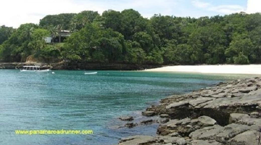 Executive Beach at Contadora has some of the best snorkeling we have found in Panama. Contadora is one of the larger Pearl Islands. Contadora Island is a 25 minute plane ride or a 2 hour ferry ride from the mainland. Several of the Survivor series were filmed in the Pearl Islands. www.panamaroadrunner.com