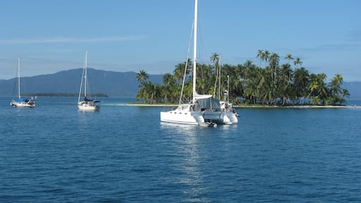 Contadora Island is such a beautiful place to visit and is well worth spending a day - take in fantastic snorkeling, whale watching or sitting on the beach relaxing taking in the views! www.panamaroadrunner.com