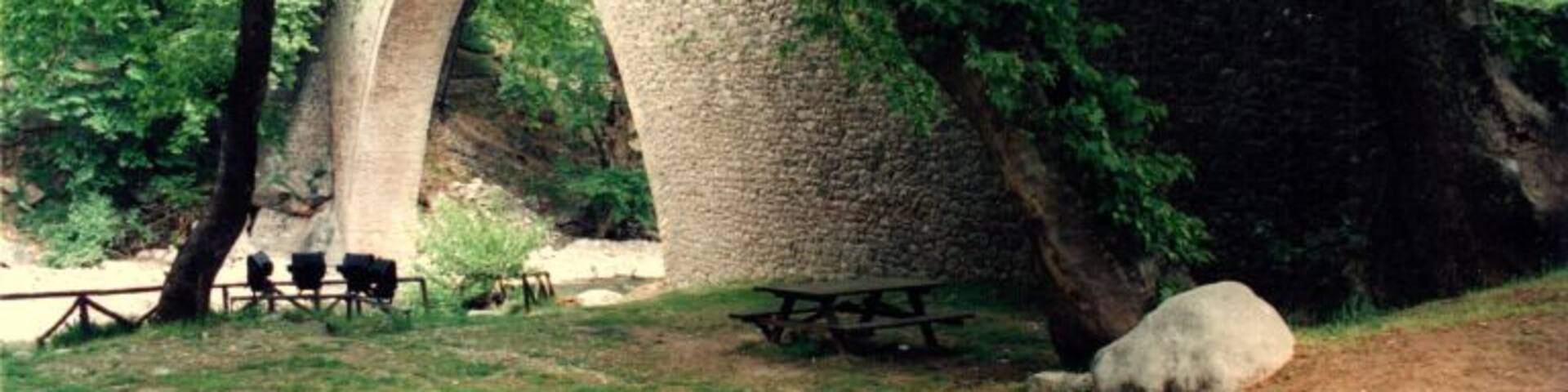 Elati, Pertouli and the surrounding area. A place called by many Greek Alps
https://foodandtravel.blog/2019/10/25/road-trip-in-the-greek-alps-elati-pertouli-and-beyond/