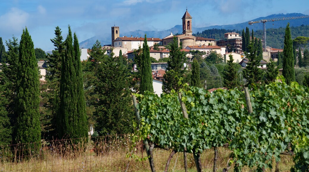 Castiglion Fibocchi, old village in Tuscany