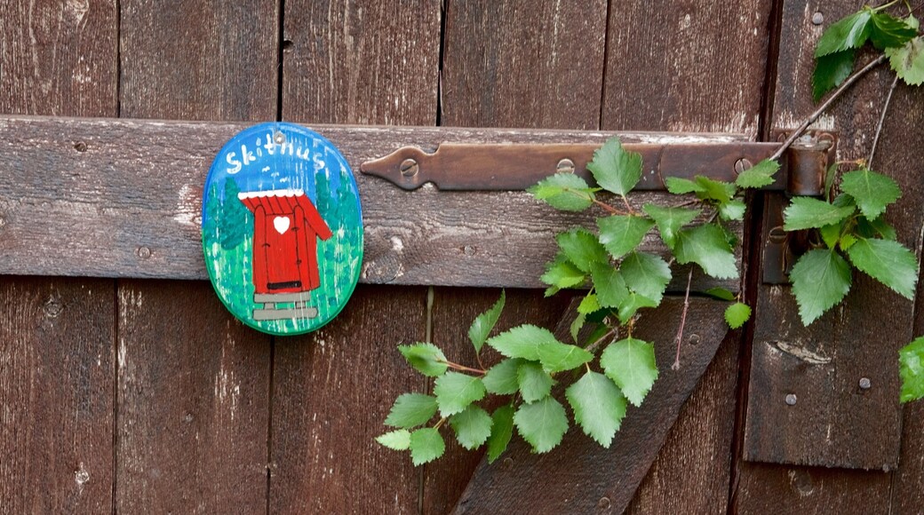 Kebnekaise ofreciendo señalización