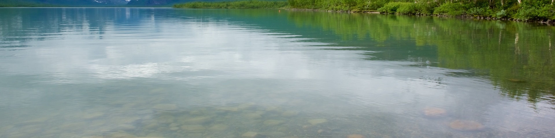 Kebnekaise mostrando un lago o laguna