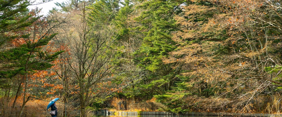 Kumoba Pond showing a pond