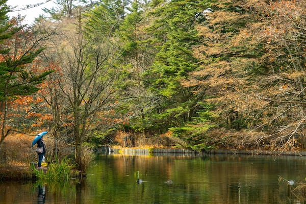 Kumoba Pond showing a pond