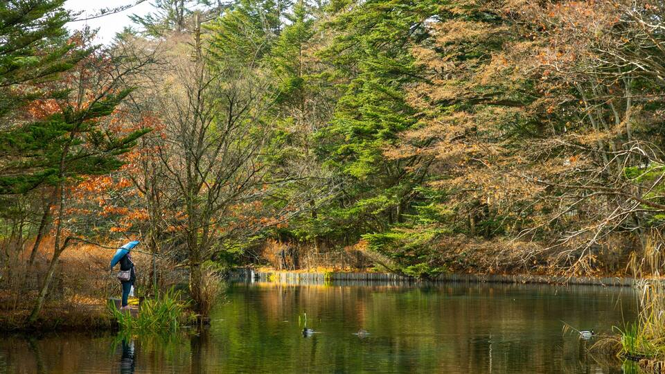 Kumoba Pond showing a pond