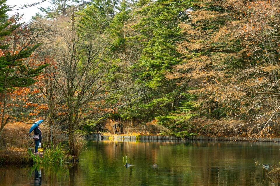 A person fishing by a calm pond surrounded by autumn trees.