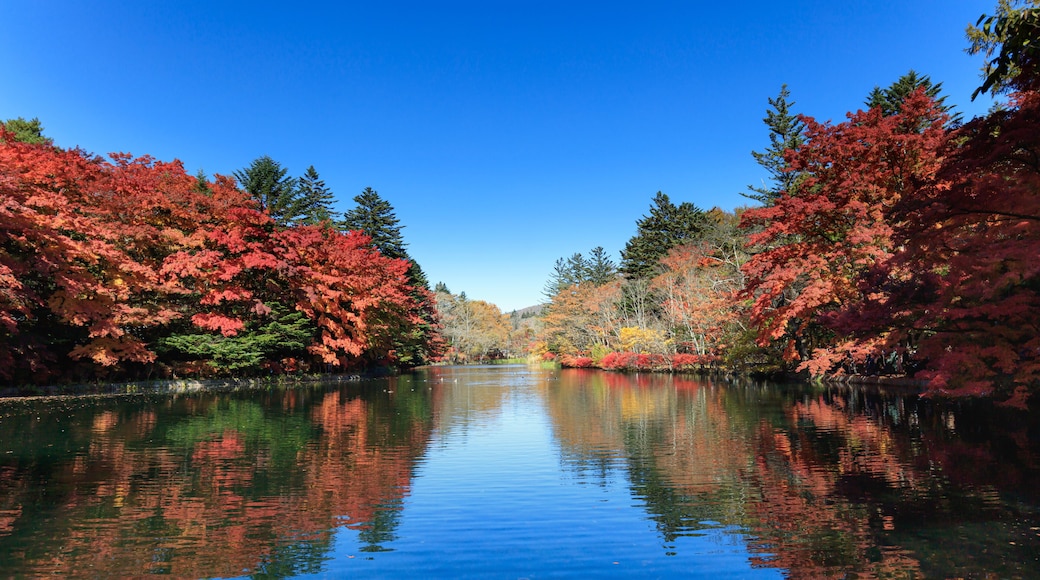 Kitasaku