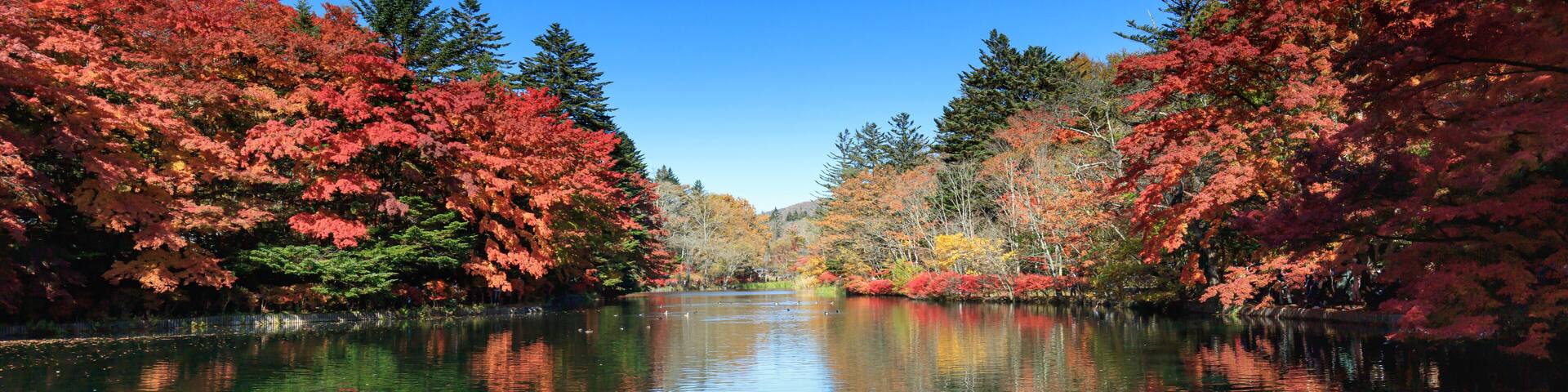 Un río tranquilo reflejando el colorido follaje otoñal.