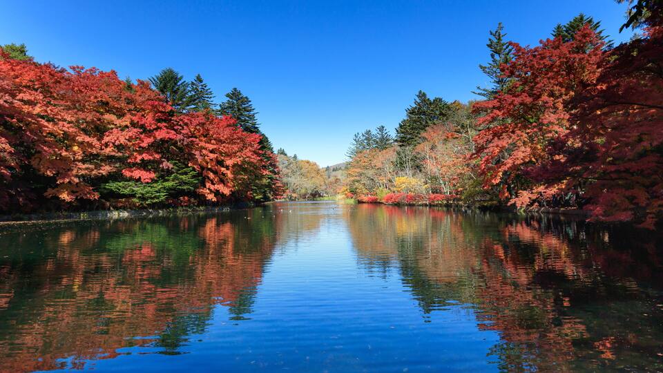 Un río tranquilo reflejando el colorido follaje otoñal.
