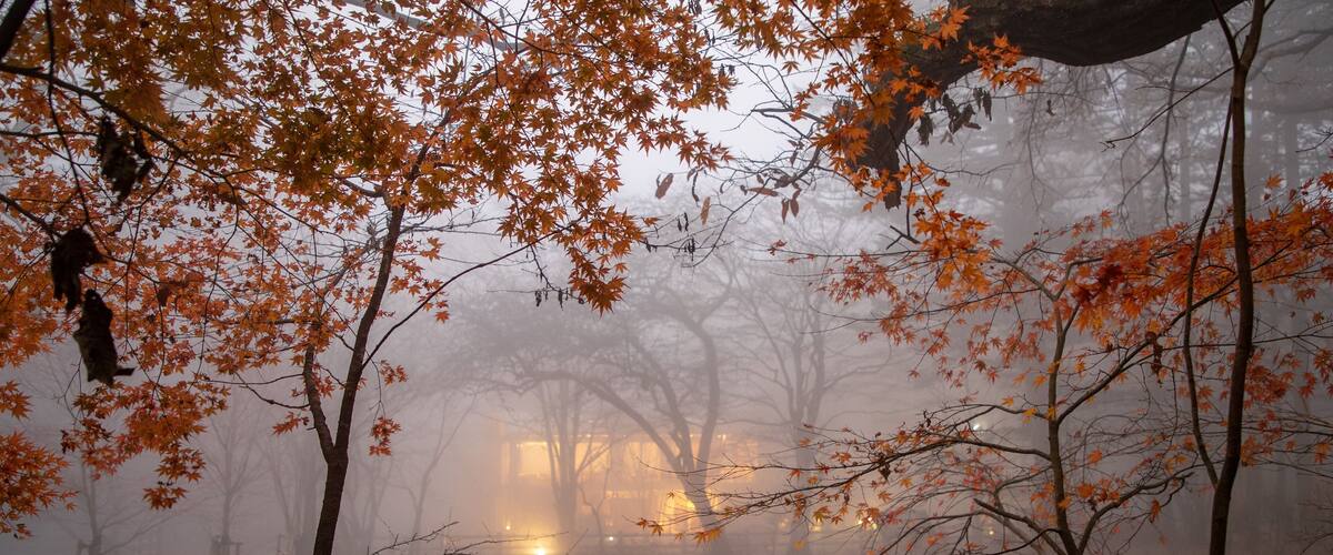 Kumoba Pond which includes mist or fog and a lake or waterhole