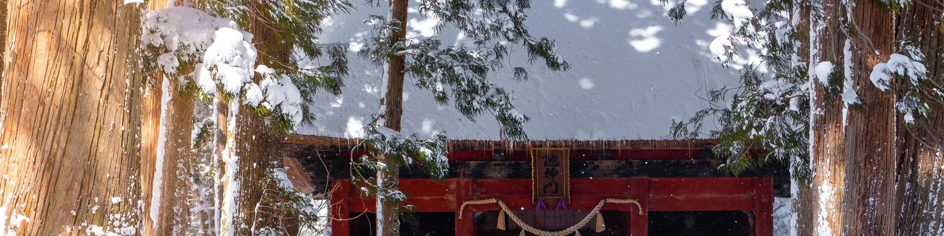 A row of Cedar Trees at Togakushi Shrine gate in winter located in Nagano, Japan