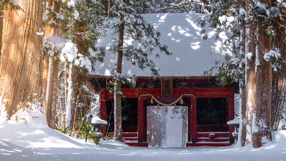 A row of Cedar Trees at Togakushi Shrine gate in winter located in Nagano, Japan