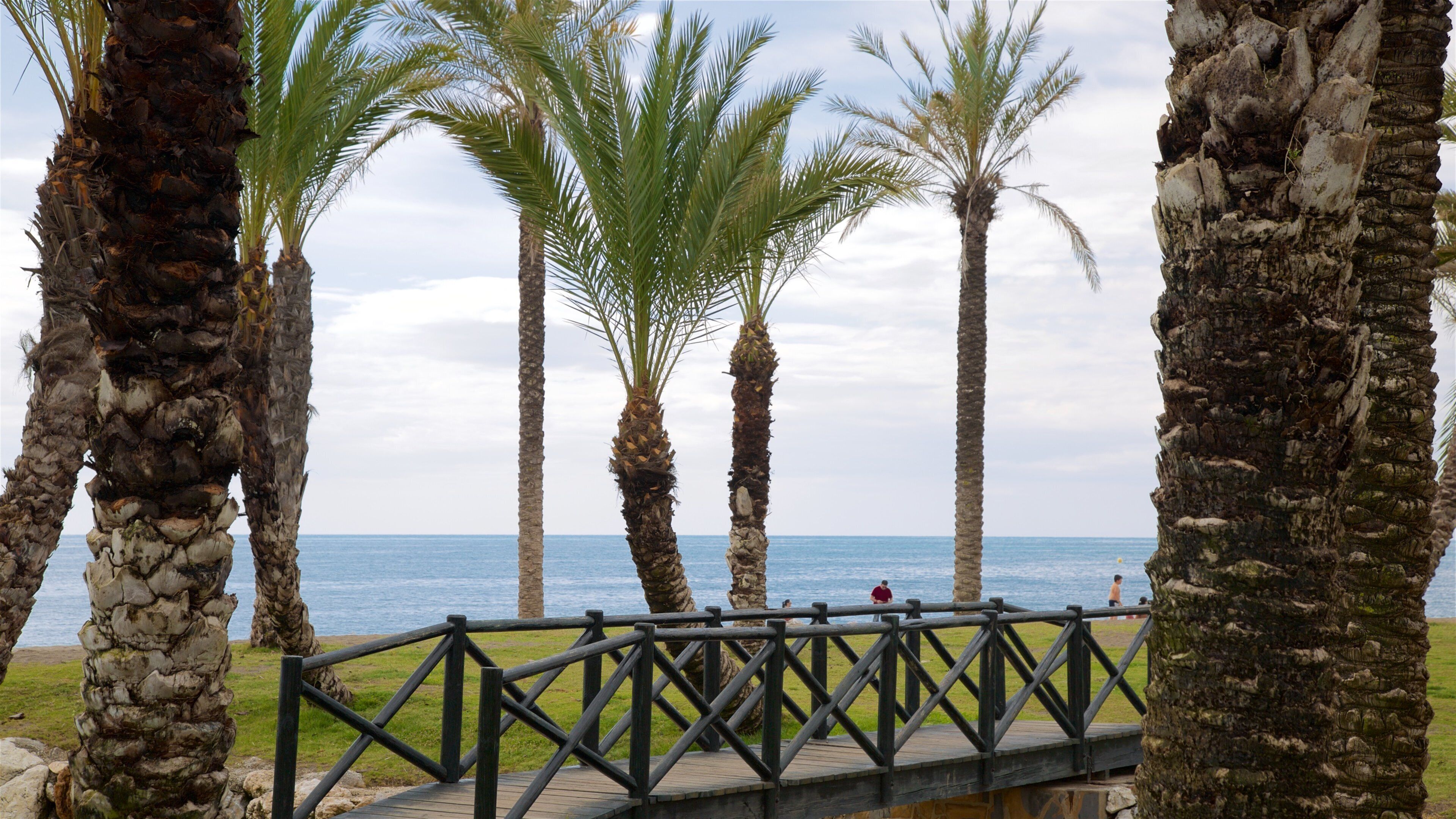 Los Alamos Beach showing general coastal views and tropical scenes